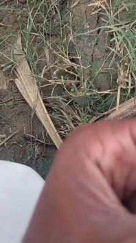 Desi Mahol