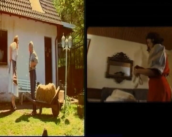 GERMAN PORN CLASSICS: Důchod Almrausch, část 1