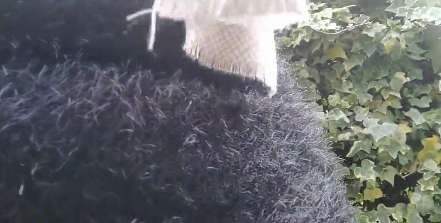 Nicoletta Embassi: Твоя м. хочет пописать в саду, так что она наклоняется и показывает тебе свою киску под парой чулок-сеток