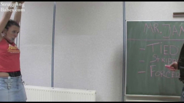 Submissed: Fată olandeză versus dl Jamezz's Checklist