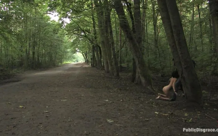 Public Disgrace by Kink: The Dog Walk