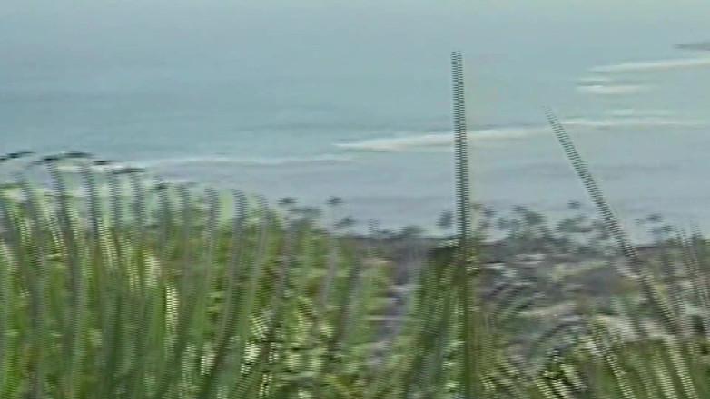 SEXUAL SIN GAY: Adegan seks dua pria antar ras di kolam renang sama...