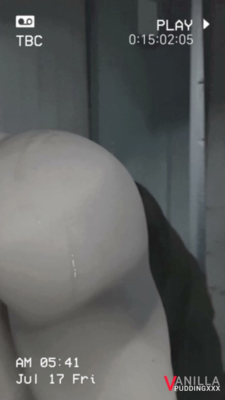 Vanilla pudding: 立ってるセックス