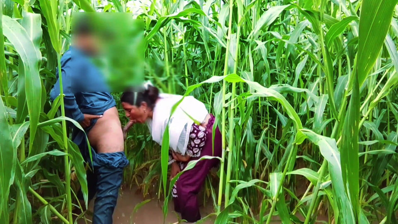 Abida sexy: haardakor porn vidiyo ki dainik khuraak - kripya pasand karen aur...