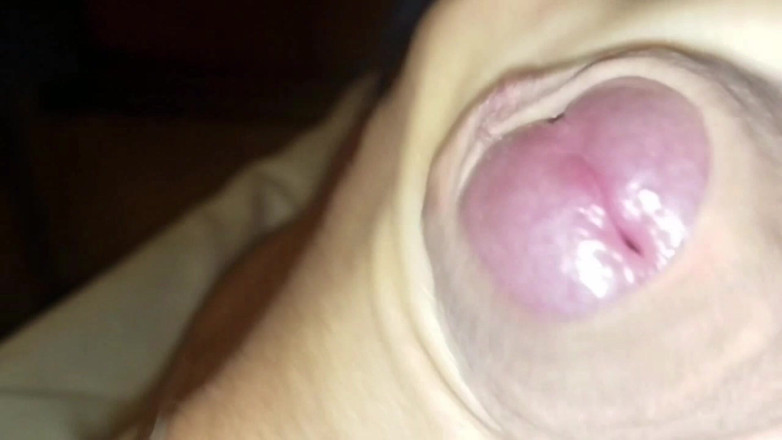 Hamsterteletu: Compilación de Cum