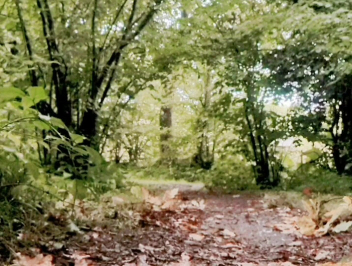 MaleModel: 자연주의. Naturist. 나체 주의자. 야외에서 누드