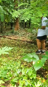 Casual Nude Walking, Chubby Girl Walking Completely Naked in the Jungle