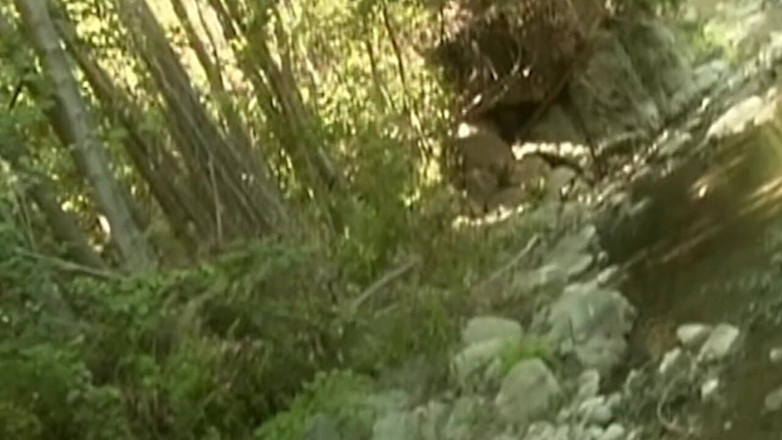 NAUGHTYPOLSKA: La bionda lecca il cazzo e succhia il cazzo all'aperto