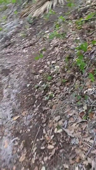 Bts Naturspaziergang und Masturbation auf dem Trail
