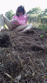 꿈의 분야에서 흔들리는 Sissy Lilly