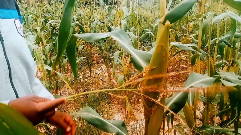 Judithxxx: 休暇日