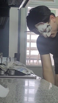 부엌에서 따먹히는 새엄마, 슬로우 모션의 팬만, 오럴