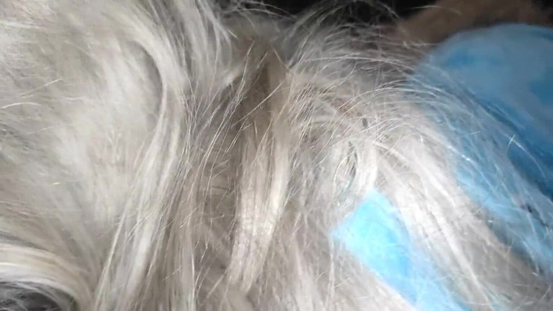 Taboo Room: 자지를 빨아주는 유니콘 파자마의 작은 공주!