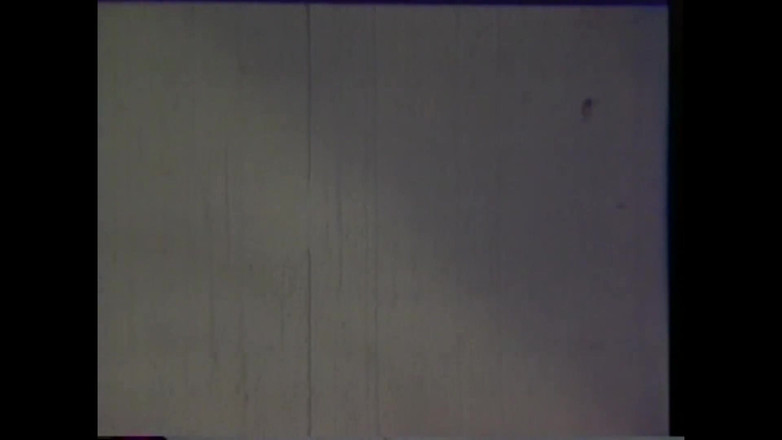 Vintage Usa: Mai întâi teme, apoi un sex bun