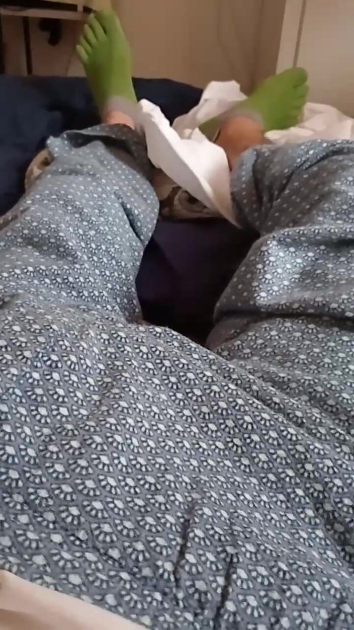 Dodged: Egyptisch groot