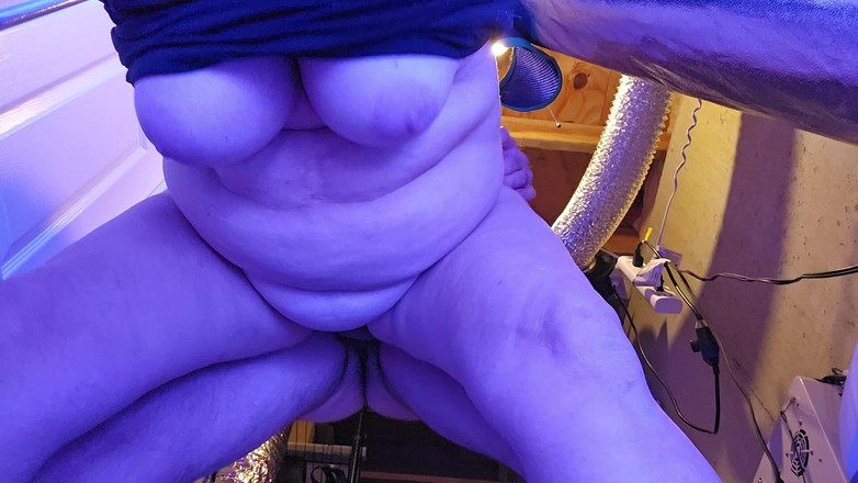 Bakeyesmokems: Dientot dari belakang saat lagi berkembang