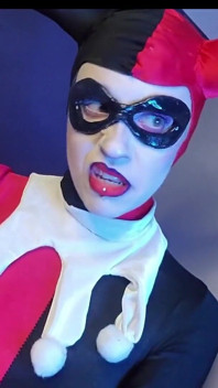 Harley hilft beim nightwingen
