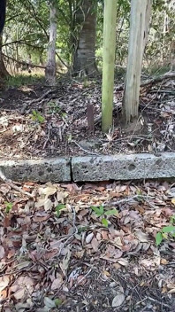 No132 着物で野良おしっこ遊び