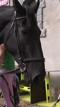 Lucy Seduces the Stable Hand
