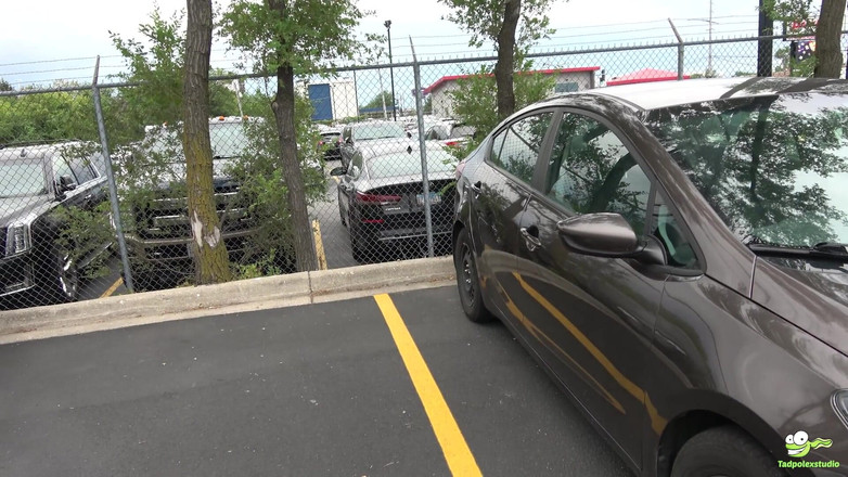 TadpolexStudio: Lala Ivey Prodává sugar daddy a citron ojeté auto