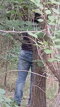 Our Third Girlfriend Keeps Watch in the Park so No One Catches Us Having Sex