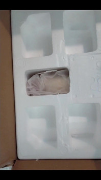 You the First Who See That!