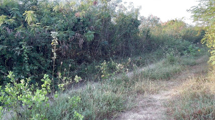 SinglePlayerBKK: Sabah D vitamini almak