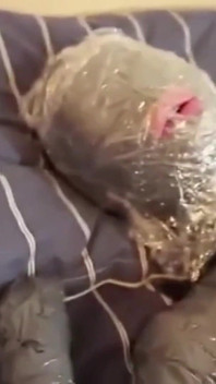 胶带紧致和绑定