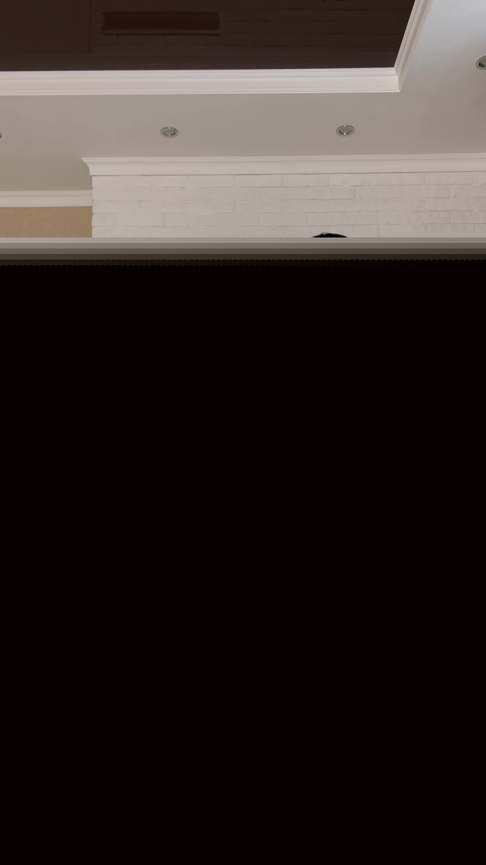 Princess Monica: アイロン台で裸でおならする 4K