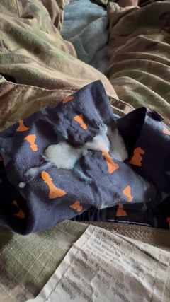 Gay Soldier Stuff: Armádní specialista honí tlustou krémovou nálož po týdnu v poli...