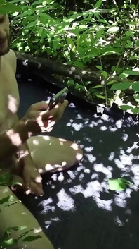 Vlog Steamy Forest Hookup with a Hiker Raw Blowjob and Cum Eating with Passion Maxime Horns