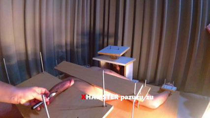 Pazuzu_zu: Donna vestita uomo nudo dominazione femminile cbt sega. Orgasmo rovinato +...