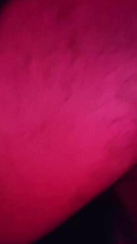 Skoro jsem přišel