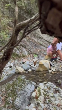 Fucked in the Woods