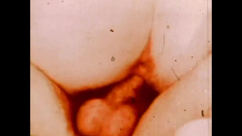 Vintage megastore: 娼婦がボスを食べる