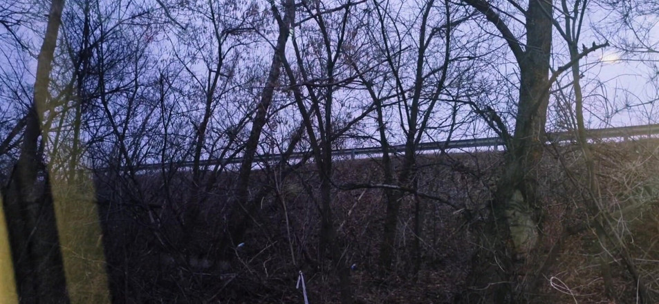 AlexGay: Hot Cruise, un străin mi-a intrat în pantaloni și m-a futut pe...