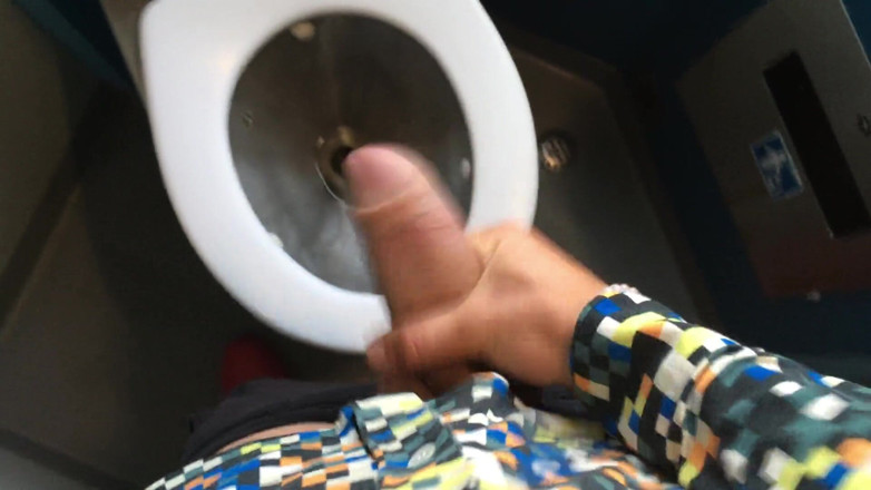 Idmir Sugary: Wichs an einer toilette im zug