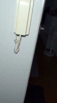 Face reveal - négociation d’un tournage à la maison avec une beauté timide perdue dans son orgasme intense