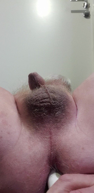 Redhairy4u: Juguete en el culo, masturbación de polla pequeña