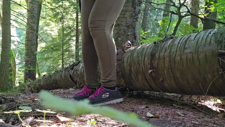 Nerdy_faery: Caminhante faz xixi em um tronco