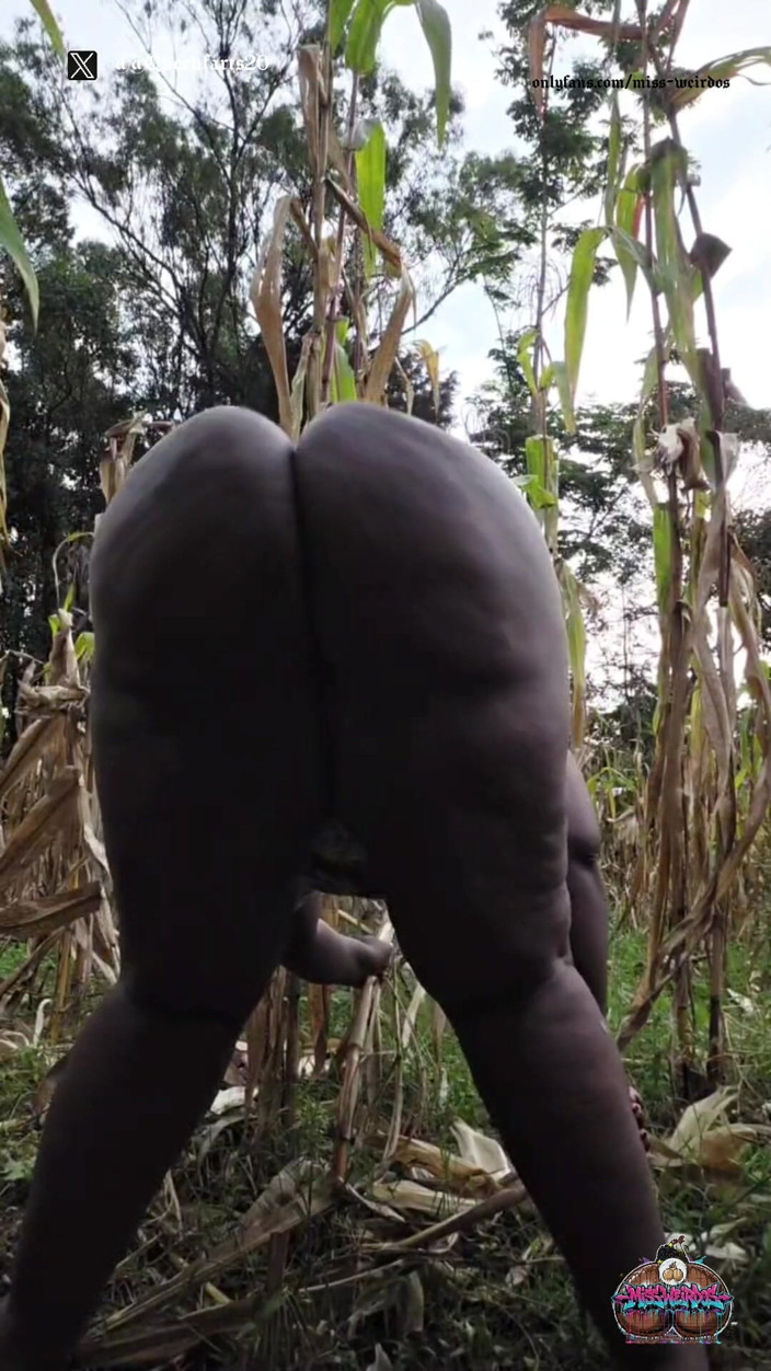 Miss weirdos: Menggoncangnya di luar di Ladang Sawah Kampung