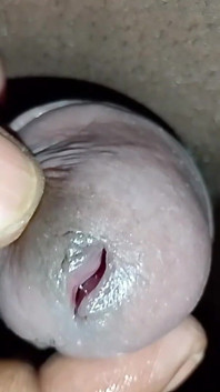 My Video S
