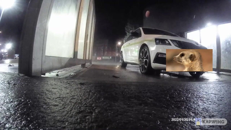 Lingeriemanx69: Car wash in stockings 1