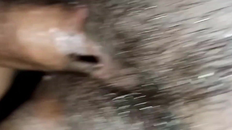 Js Creator: Nuevo vabi sexual follando duro mucho tiempo