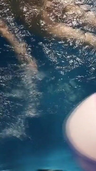 Summer Pool Fun