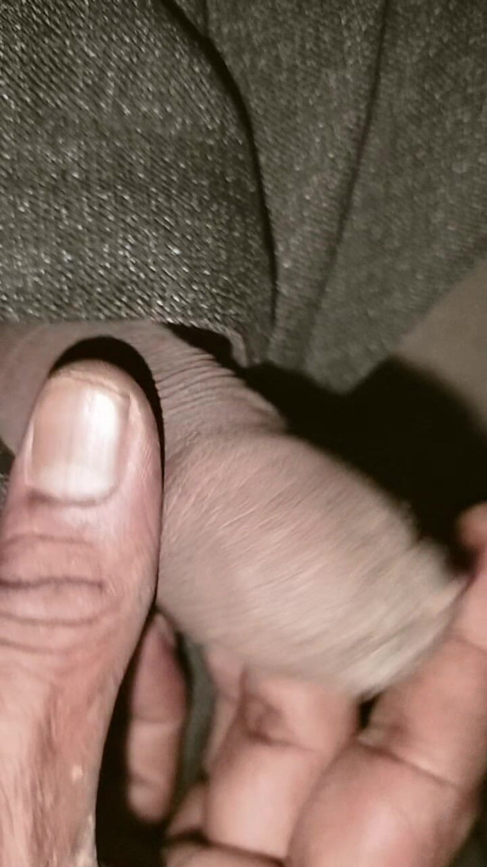 FrozenOpenair8: Bm 브릴리언트