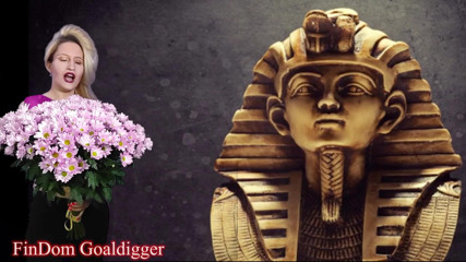 FinDom Goaldigger: VIP loserpaypig permission