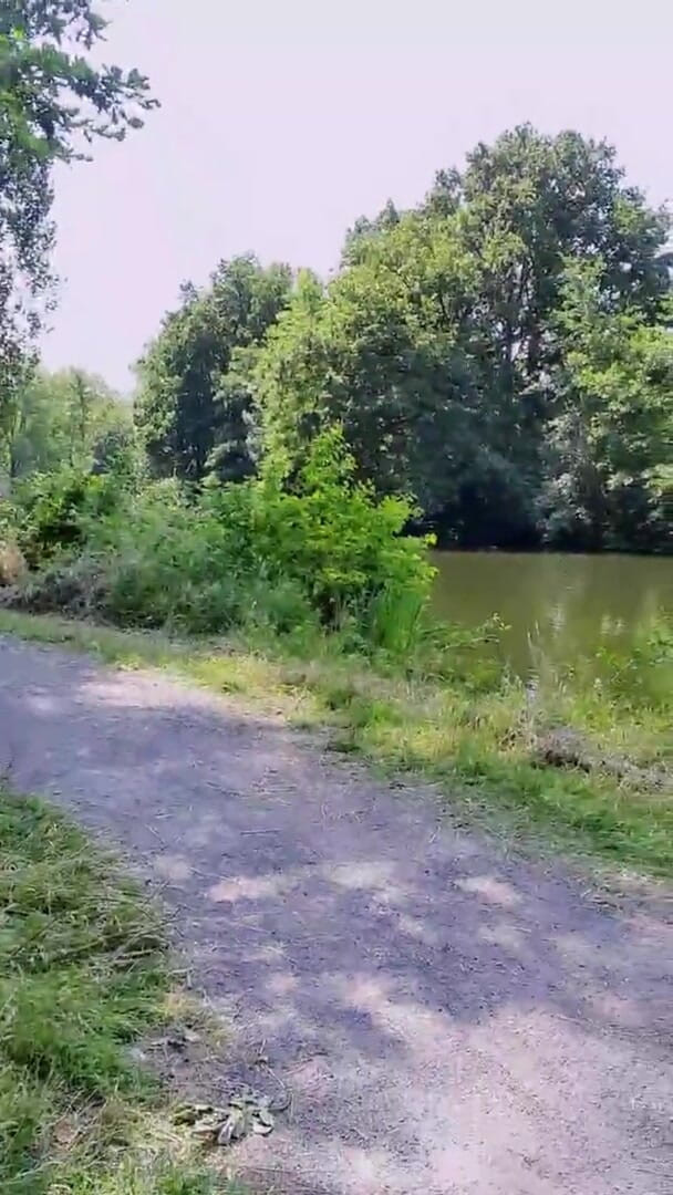 Slutboyben: Slutboyben cam4 mega seksi halka açık teşhirci domuz