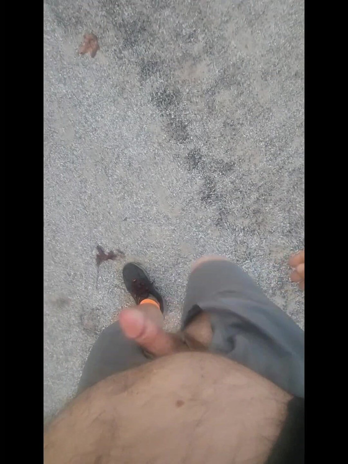 Djk31314: Šel na procházku na zastávce náklaďáku