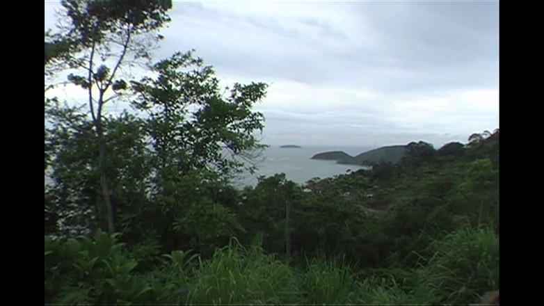 Latino Boys Studio: プールでのファックセッションでブラジルのラテン系の男の子